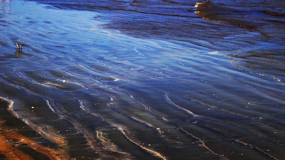 Tide rolling in at Galveston beach shot with Canon EOS rebel and saturated in Photoshop for a deep, colorful look.