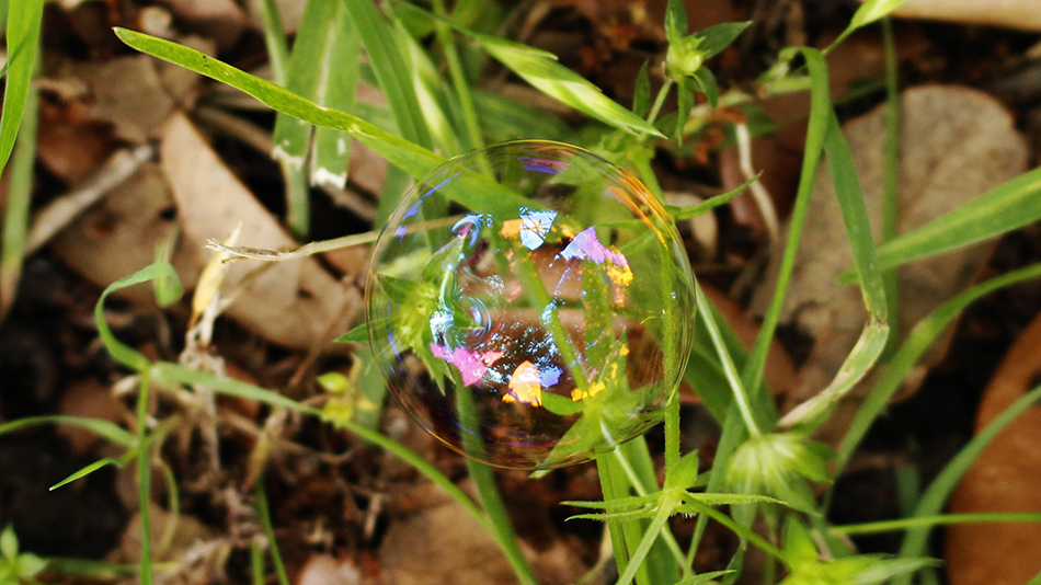 Bubble clinging to blades of grass.